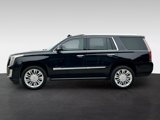 Used 2016 Cadillac Escalade Platinum image 4