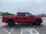 New 2025 Ford F150 STX w/ STX Black Appearance Package image 4