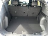 New 2025 Ford Escape ST-Line Elite w/ Class II Trailer Tow Package image 6