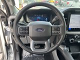 New 2025 Ford F150 XLT w/ Equipment Group 302A MID image 3