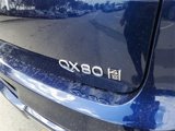 New 2025 INFINITI QX80 Sensory image 5