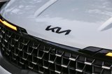 New 2025 Kia Carnival SX image 6