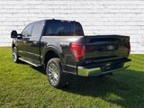 New 2025 Ford F150 XLT image 3