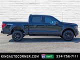 New 2025 Ford F150 XLT w/ Equipment Group 301A Standard image 4