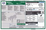 Used 2023 Ford Bronco Wildtrak image 4