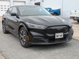 Certified 2021 Ford Mustang Mach-E Premium image 2