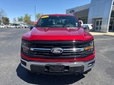 New 2025 Ford F150 XLT image 3