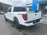 New 2025 Ford F150 STX w/ STX Black Appearance Package image 5