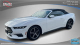Used 2024 Ford Mustang Premium image 2