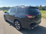 New 2025 Honda Pilot Touring image 4