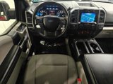 Used 2020 Ford F150 XLT w/ Equipment Group 302A Luxury image 4