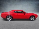 Used 2023 Dodge Challenger SXT image 3