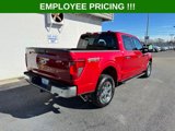 New 2025 Ford F150 XLT w/ Equipment Group 301A Standard image 5