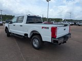New 2025 Ford F250 XL image 6