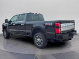 New 2025 Ford F250 Platinum image 3