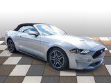 Used 2023 Ford Mustang Premium image 3