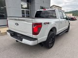 Used 2024 Ford F150 XLT image 3