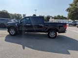 Used 2024 Ford F150 XLT w/ Equipment Group 302A MID image 6