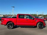 New 2025 Ford F150 STX w/ STX Black Appearance Package image 5