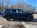 New 2025 Hyundai Palisade Calligraphy image 2