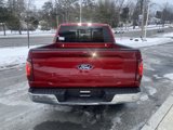 New 2025 Ford F150 XLT w/ Equipment Group 302A MID image 4