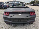 Used 2024 Ford Mustang Convertible image 5