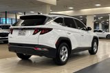 Certified 2024 Hyundai Tucson SEL image 4