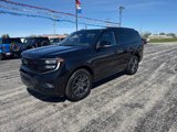 New 2025 Ford Expedition Platinum image 2