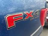 Certified 2022 Ford F150 XLT w/ Equipment Group 302A High image 3