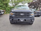 New 2025 Ford F150 XLT image 2