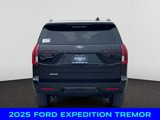 New 2025 Ford Expedition Tremor image 4