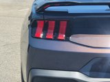 New 2025 Ford Mustang Dark Horse image 6