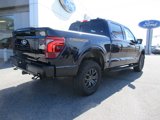 New 2025 Ford F150 Tremor w/ Equipment Group 402A High image 5