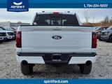 New 2025 Ford F150 XLT w/ Equipment Group 303A High image 5
