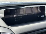 New 2025 MAZDA CX-50 2.5 Turbo w/ Premium Plus Pkg image 3