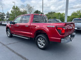 New 2025 Ford F150 XLT image 3