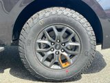New 2025 Ford Expedition Tremor image 6