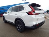 New 2026 Honda CR-V EX-L image 4