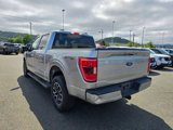 Certified 2023 Ford F150 XLT w/ Equipment Group 302A High image 2