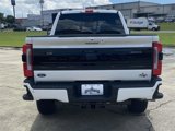 New 2025 Ford F250 Platinum image 4