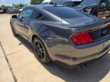 Used 2020 Ford Mustang GT w/ Equipment Group 301A image 6