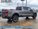 New 2025 Ford F250 Platinum image 4
