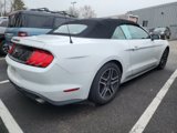 Certified 2023 Ford Mustang Premium image 5