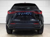 Used 2023 Lexus NX 350 AWD w/ Premium Package image 5