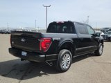 Certified 2024 Ford F150 King Ranch image 3