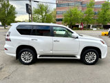 Used 2019 Lexus GX 460 image 6