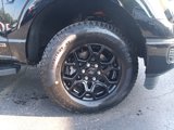New 2025 Ford F150 XLT image 2