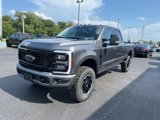 New 2025 Ford F350 4x4 Crew Cab Super Duty image 4