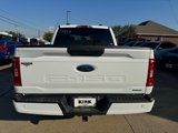 Used 2023 Ford F150 XL w/ STX Appearance Package image 4
