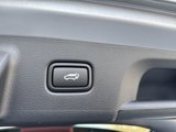 New 2025 Hyundai Palisade SEL image 6